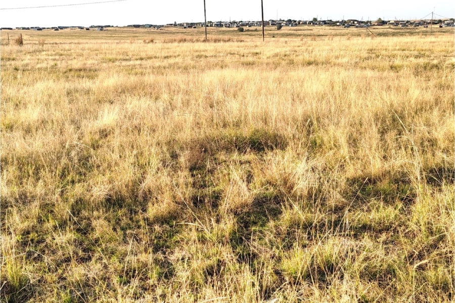 0 Bedroom Property for Sale in Metsimaholo Free State